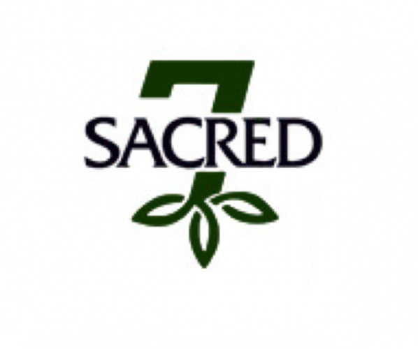 Sacred7 Travel yedi yaşında