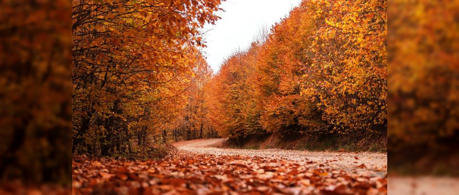 Sonbahar Eş Anlamlıları ve Kullanımları