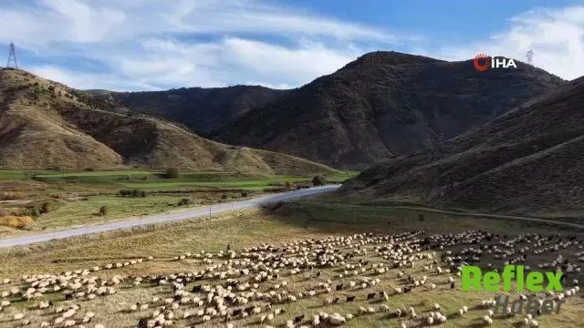 Van Ve Bitlis Yaylalarından Siirt’e Göçerlerin Dönüşü Başladı