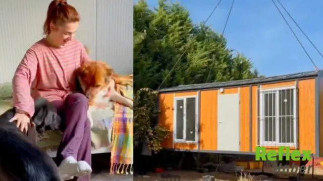 Ceylan Ertem Köpekleri İ̇çin Konteyner Ev Kurdu