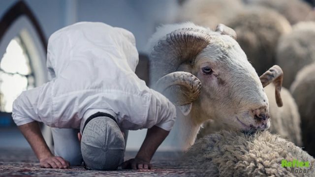 Kurban Bayramı Ne Zaman? 2026