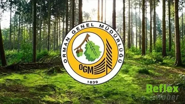 Orman Genel Müdürlüğü 12 Müfettiş Yardımcısı Alacak
