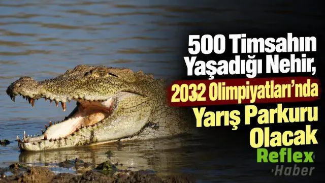 500 Timsahlı Olimpiyat Parkuru! Suya Düşen Yandı
