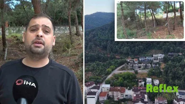 Bursa’da üç ayı mahalleye indi: Vatandaşlara “Yaklaşmayın” uyarısı